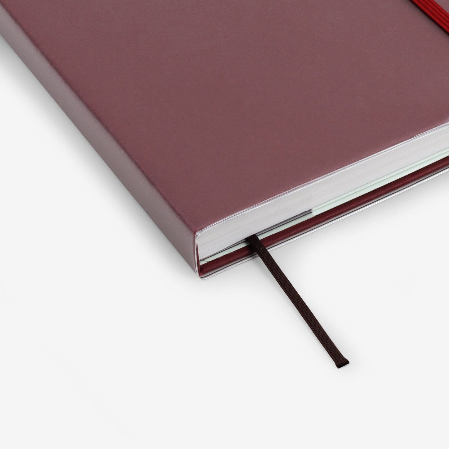 Regular Transparent Sleeve