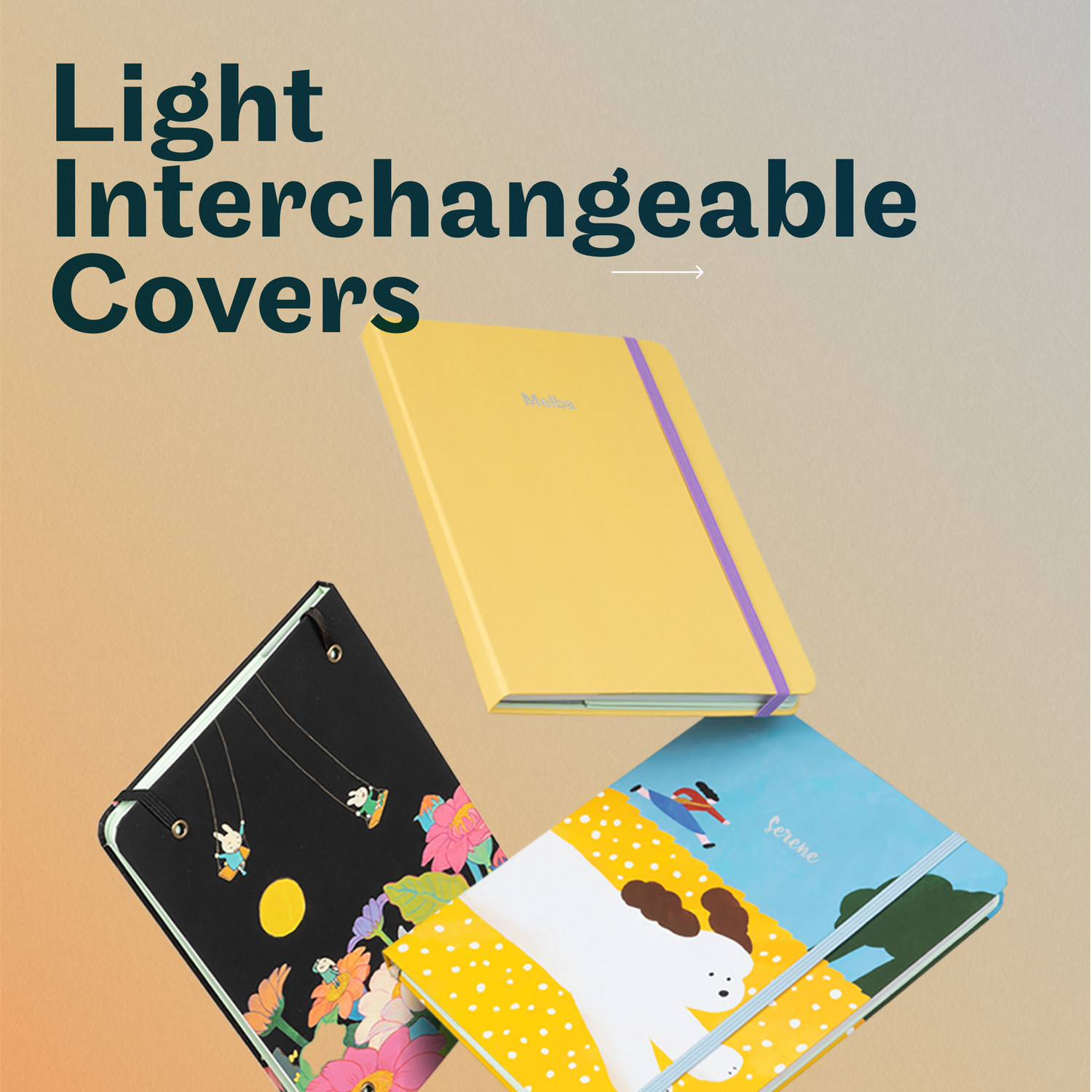Light Interchangeable Covers