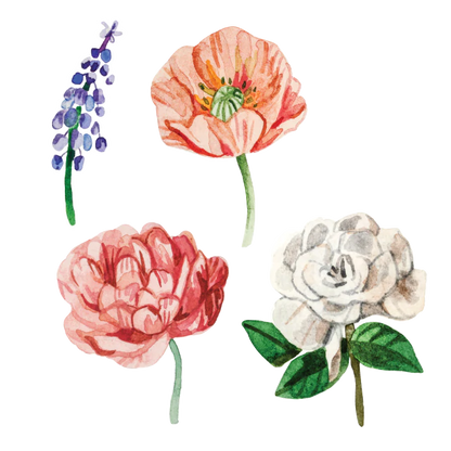 Artist Series Stickers: Poppy, Magnolia, Peony, Muscari (STC-504)