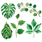 Artist Series Stickers: Foliage (STC-505)