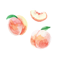 Artist Series Stickers: Peaches (STC-507)