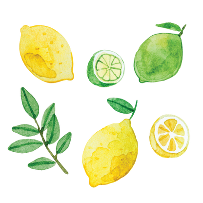 Artist Series Stickers: Lemons & Limes (STC-508)