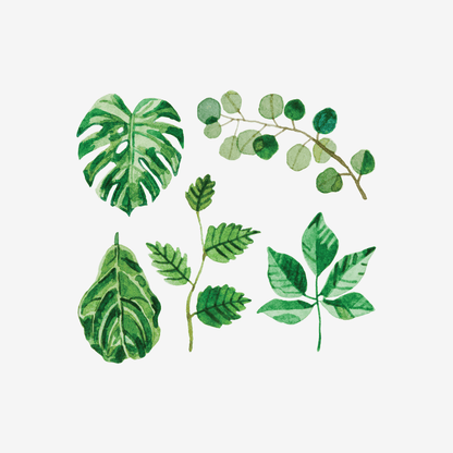 Artist Series Stickers: Foliage (STC-505)